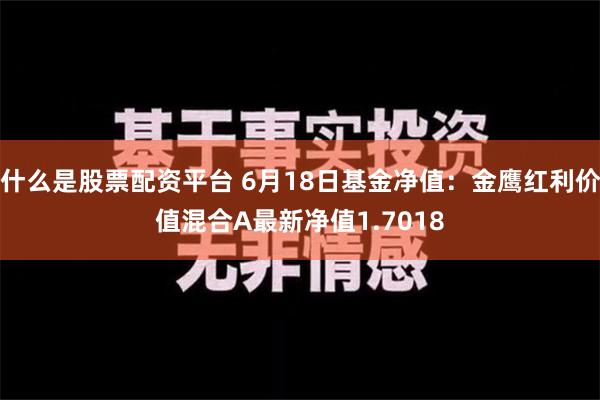 什么是股票配资平台 6月18日基金净值：金鹰红利价值混合A最新净值1.7018