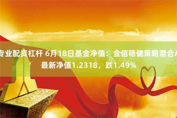 专业配资杠杆 6月18日基金净值：金信稳健策略混合A最新净值1.2318，跌1.49%