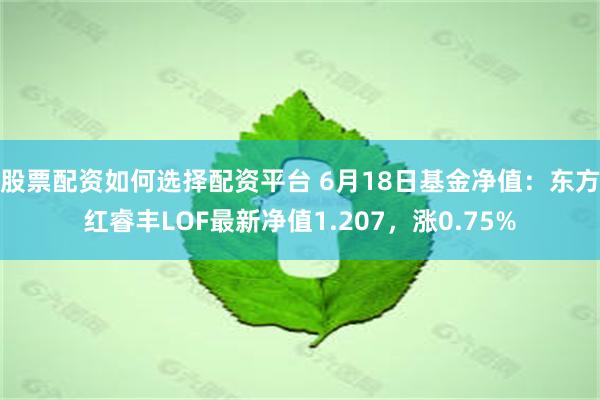 股票配资如何选择配资平台 6月18日基金净值：东方红睿丰LOF最新净值1.207，涨0.75%