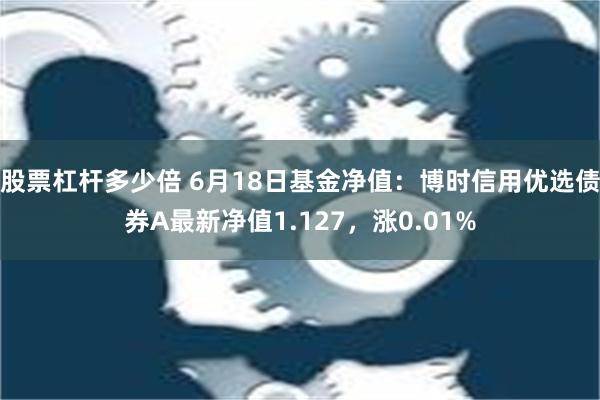 股票杠杆多少倍 6月18日基金净值：博时信用优选债券A最新净值1.127，涨0.01%