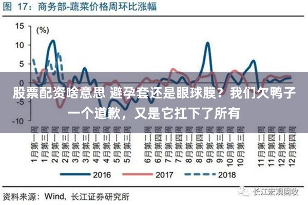 股票配资啥意思 避孕套还是眼球膜？我们欠鸭子一个道歉，又是它扛下了所有