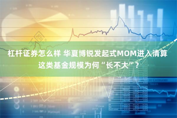 杠杆证券怎么样 华夏博锐发起式MOM进入清算 这类基金规模为何“长不大”？