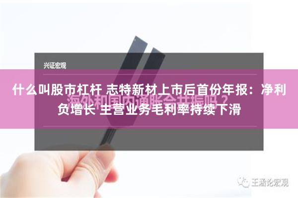 什么叫股市杠杆 志特新材上市后首份年报：净利负增长 主营业务毛利率持续下滑