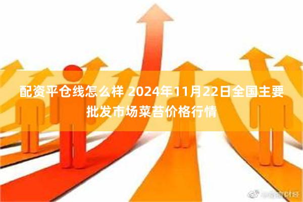 配资平仓线怎么样 2024年11月22日全国主要批发市场菜苔价格行情