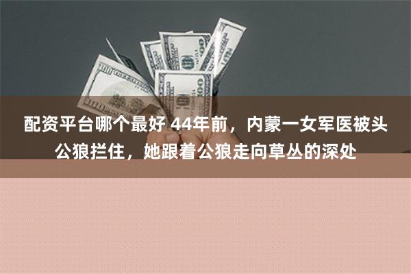 配资平台哪个最好 44年前，内蒙一女军医被头公狼拦住，她跟着公狼走向草丛的深处