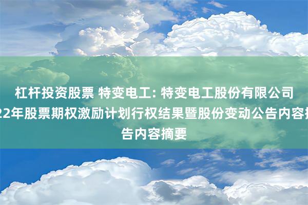 杠杆投资股票 特变电工: 特变电工股份有限公司2022年股票期权激励计划行权结果暨股份变动公告内容摘要