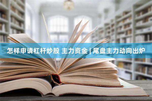 怎样申请杠杆炒股 主力资金 | 尾盘主力动向出炉