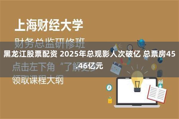 黑龙江股票配资 2025年总观影人次破亿 总票房45.46亿元